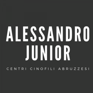 alessandrojunior.it Logo